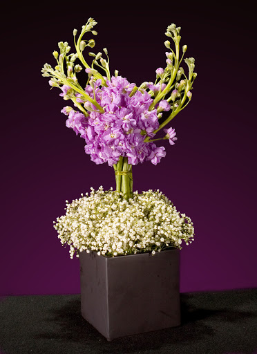 Florist «Vickies Flowers», reviews and photos, 16150 Geneva Ct, Brighton, CO 80602, USA