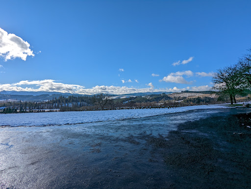 Vineyard «Tualatin Estate Vineyard», reviews and photos, 10850 NW Seavey Rd, Forest Grove, OR 97116, USA