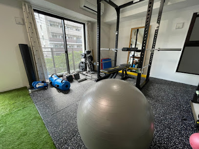 T-S1 Personal Gym