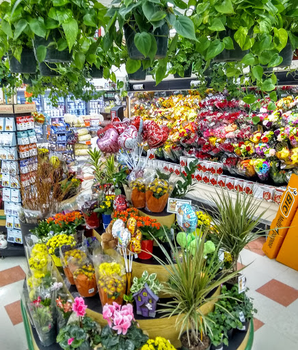 Grocery Store «Market Basket», reviews and photos, 240 Broadway, Raynham, MA 02767, USA