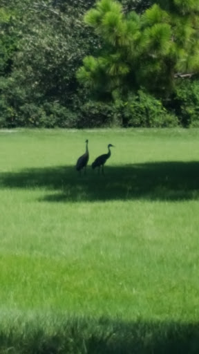 Park «Covington Park CDD», reviews and photos, 6806 Covington Garden Dr, Apollo Beach, FL 33572, USA