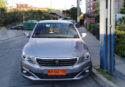 Viña Taxi, Servicio Ejecutivo