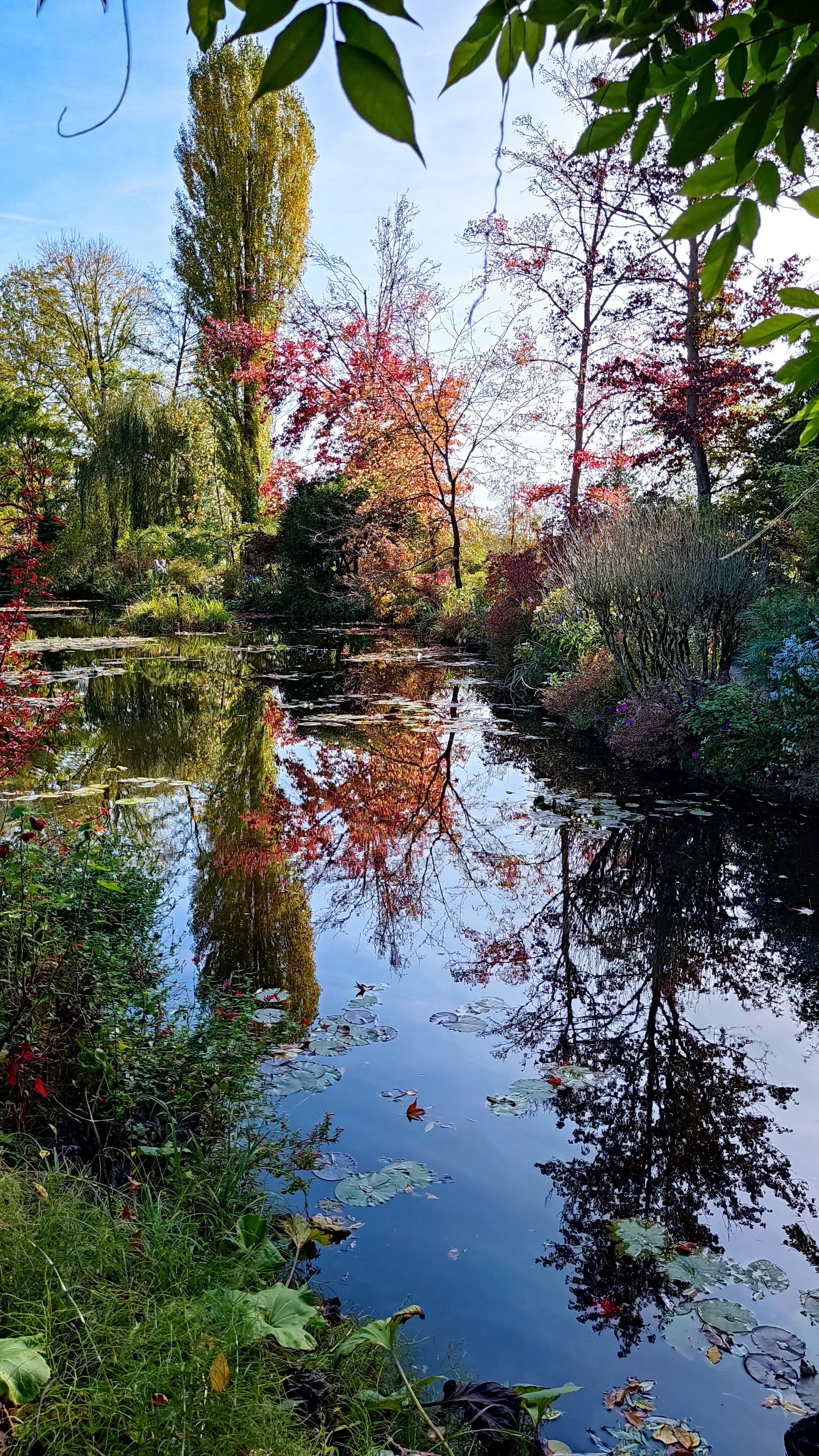 Photo n° 4 de l'avis de Isabelle.C fait le 28/10/2022 à 22:33