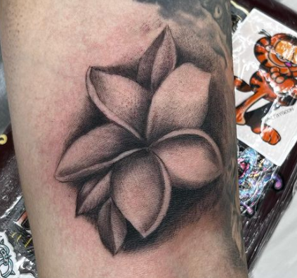 Explore tattoo space filler ideas, creative tattoo ideas in Aiea, available at Sacred Art Tattoo Aiea (Formerly TNT Tattoo)