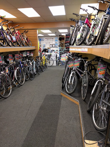 Reviews of Fudges Cycles Shepherd's Bush in London - Bicycle store