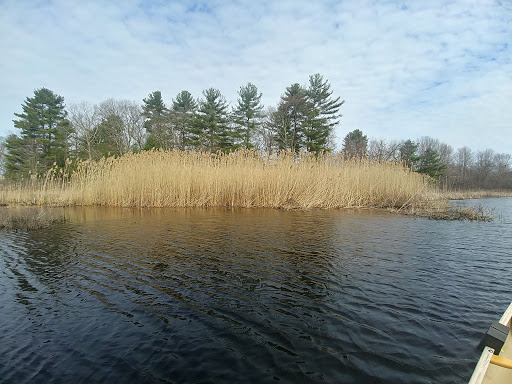 Park «Russell Mill Pond and Town Forest», reviews and photos, 105 Mill Rd, Chelmsford, MA 01824, USA