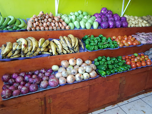 Frutas y Verduras Recien Cosechadas