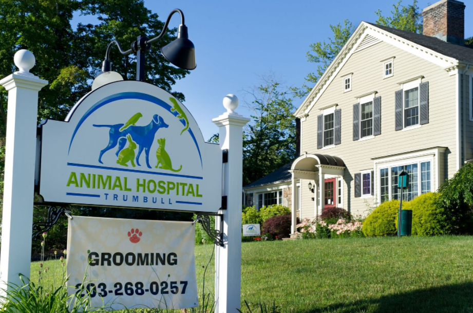Trumbull Animal Hospital Grooming