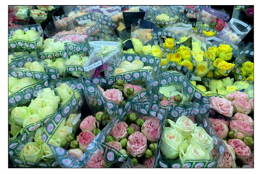 Florist «Potomac Wholesaler», reviews and photos, 2403 Linden Ln, Silver Spring, MD 20910, USA