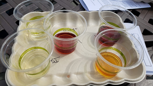 Winery «Cogdal Vineyards», reviews and photos, 7143 107th Ave, South Haven, MI 49090, USA