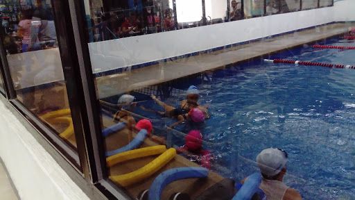 Cursos de natacion para bebes en Guadalajara