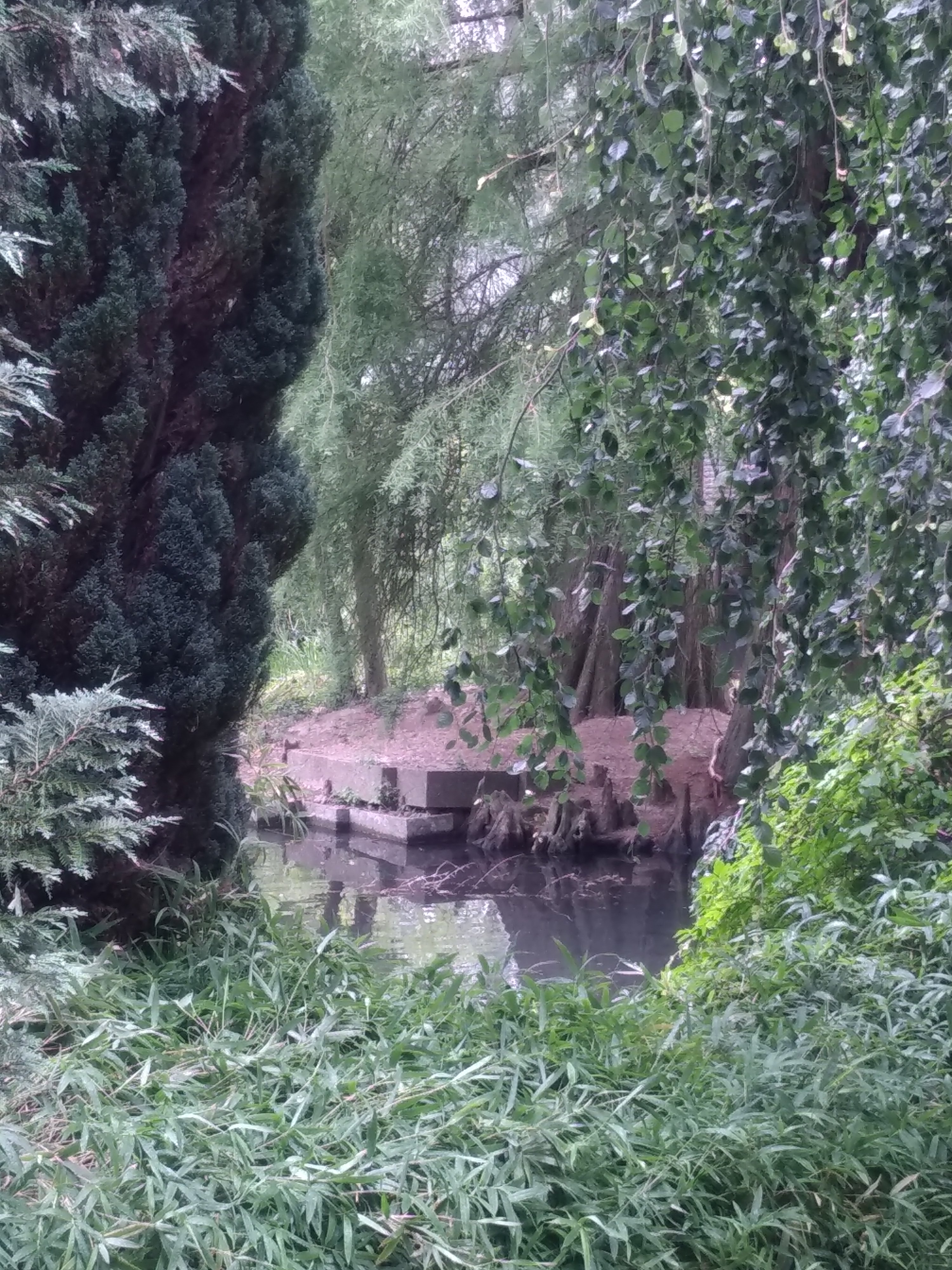 Photo n° 11 de l'avis de Céline.u fait le 28/07/2019 à 16:18