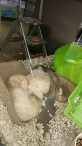 Pet Supply Store «Petco Animal Supplies», reviews and photos, 28400 Dequindre Rd, Warren, MI 48092, USA
