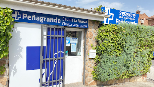 Clínica Veterinaria Sevilla La Nueva en Sevilla la Nueva