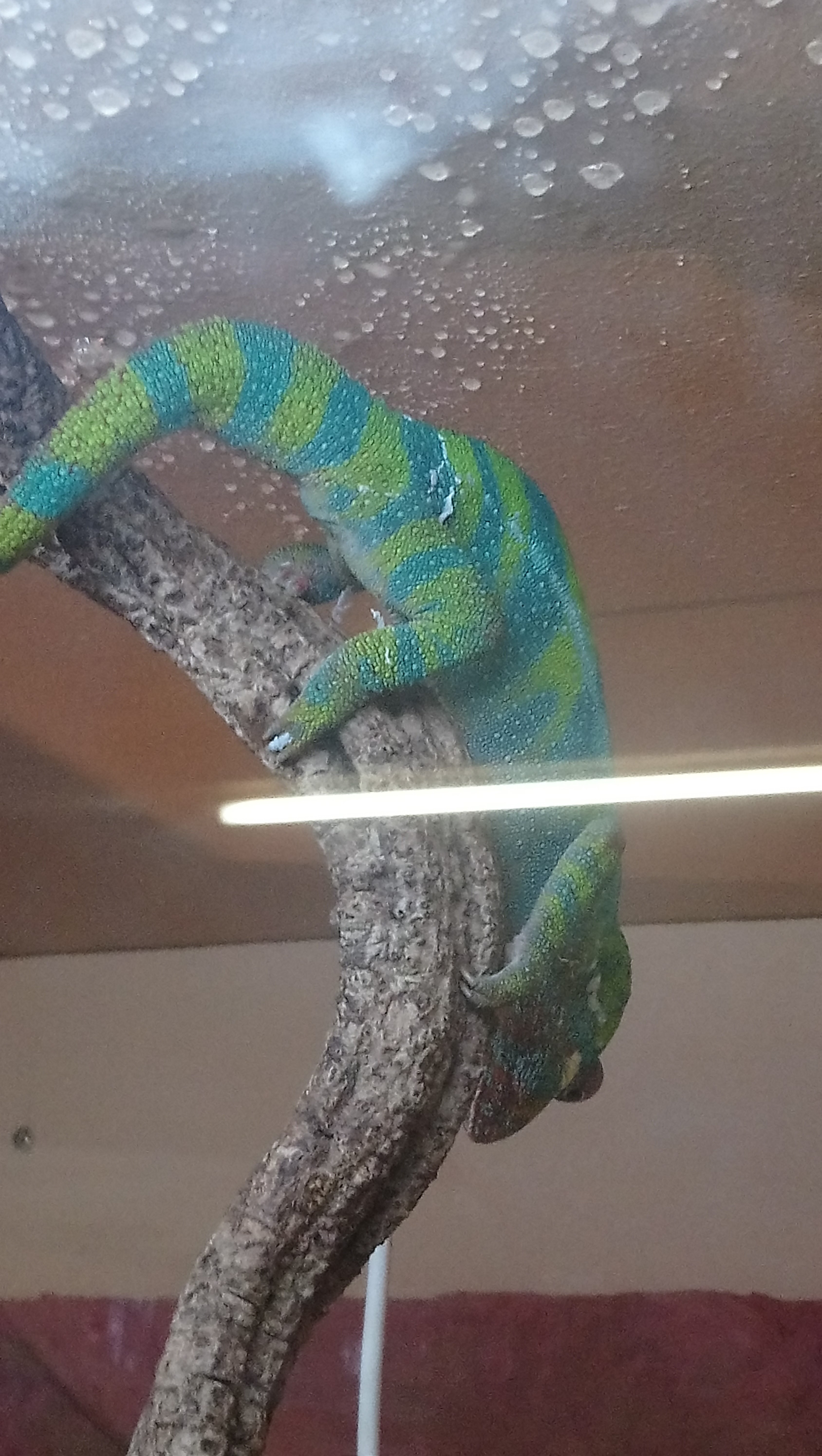 Photo n° 1 de l'avis de L.a fait le 03/11/2018 à 18:01