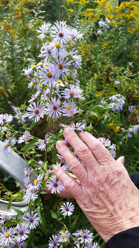 Campground «Ponderosa Campsite», reviews and photos, 417 Town Line Rd, Chateaugay, NY 12920, USA