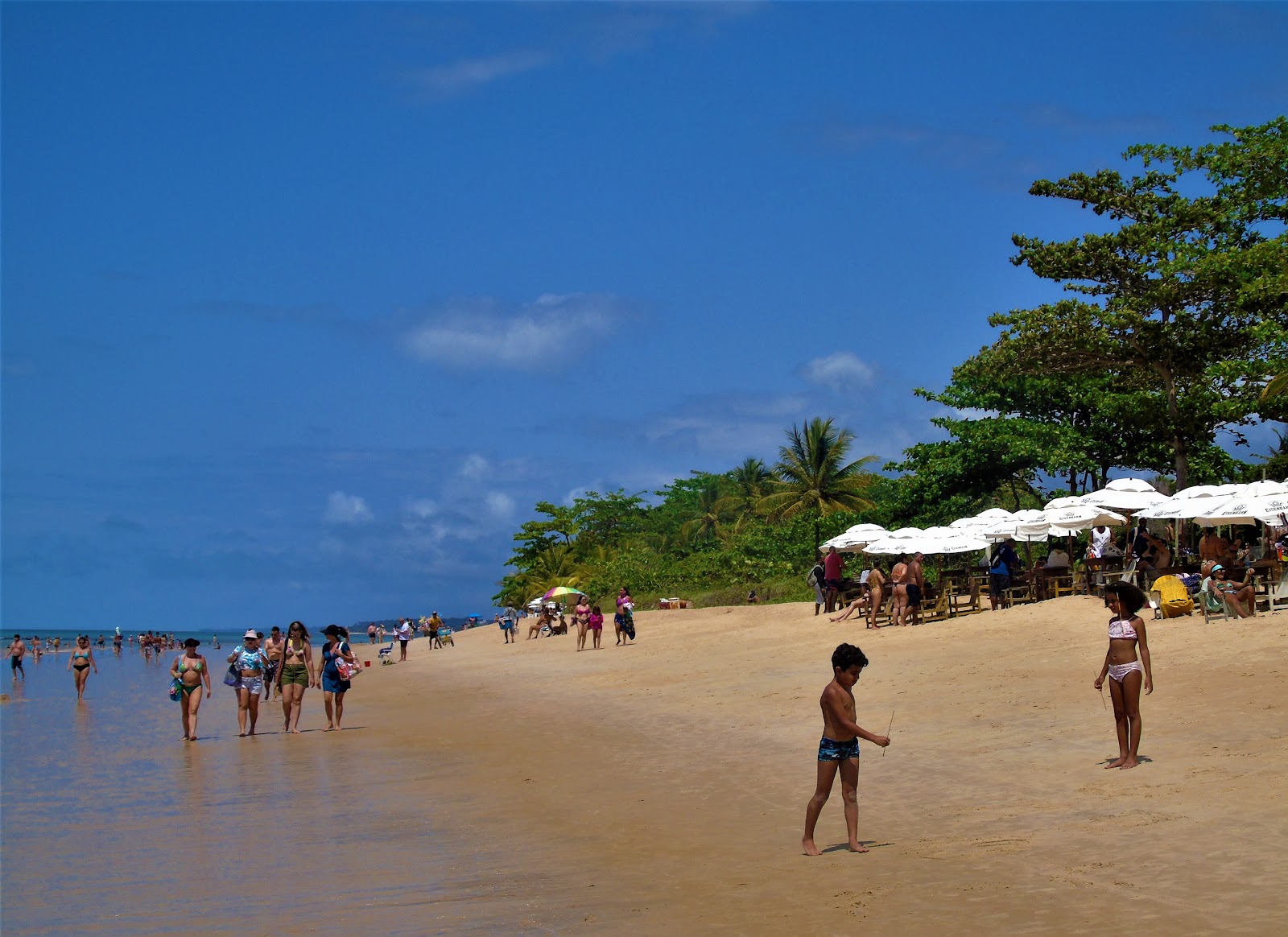 Praia Do Mundai的照片 带有宽敞的海岸