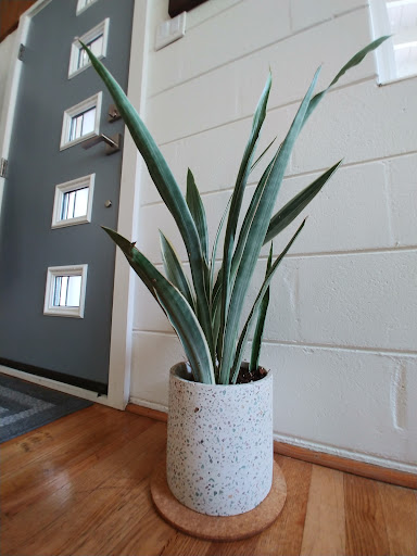 Hardware Store «Proctor Ace Hardware», reviews and photos, 5723 University Blvd W, Jacksonville, FL 32216, USA