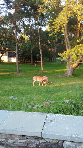 Country Club «Glen Oak Country Club», reviews and photos, 250 Oakford Rd, Clarks Summit, PA 18411, USA