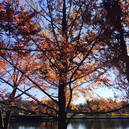 Golf Course «Furman University Golf Club», reviews and photos, 400 N Hwy 25 Bypass, Greenville, SC 29617, USA