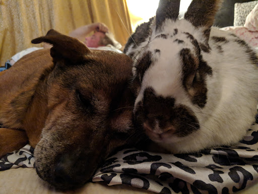 865 Molalla Ave, Oregon City, OR 97045, USA