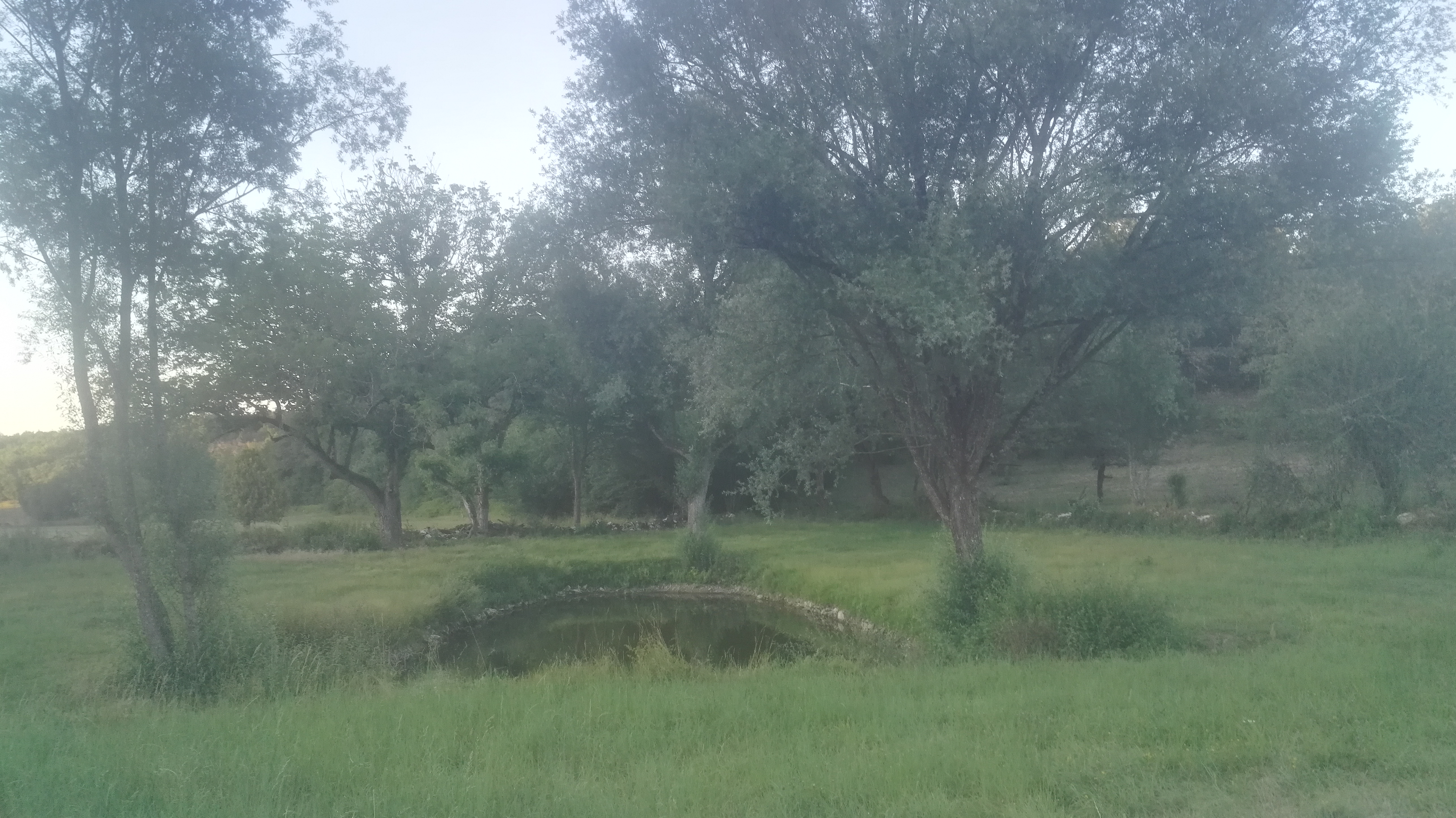 Photo n° 6 de l'avis de Elie.d fait le 15/07/2019 à 19:32