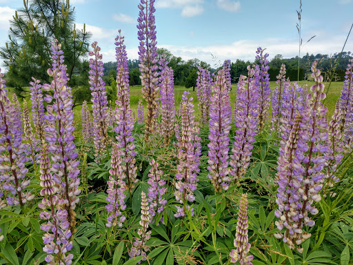 Golf Club «Cross Creek Golf Course», reviews and photos, 13935 OR-22, Dallas, OR 97338, USA