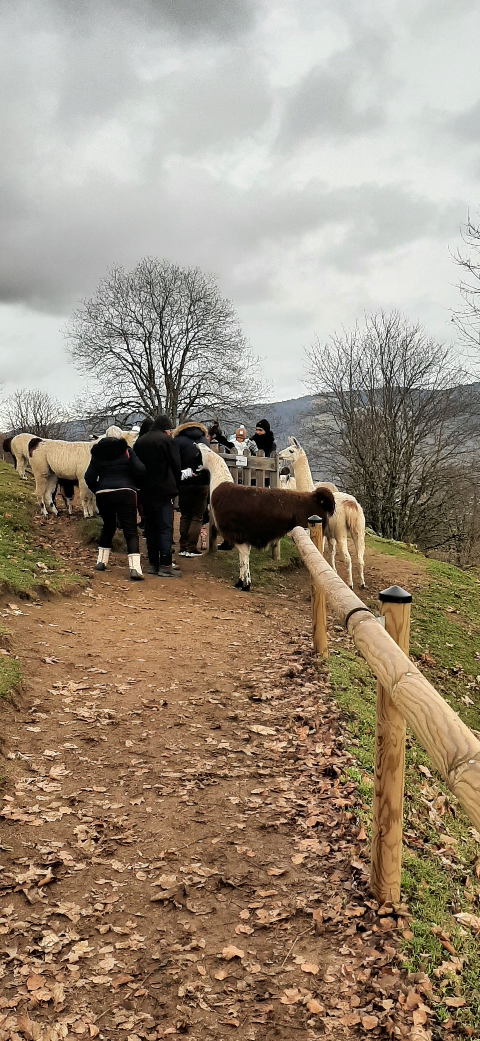 Photo n° 11 de l'avis de laurence.e fait le 30/12/2022 à 18:18