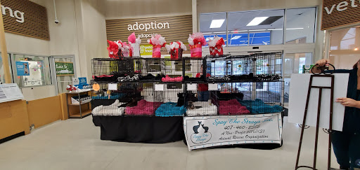 Pet Supply Store «Petco Animal Supplies», reviews and photos, 3246 N John Young Pkwy, Kissimmee, FL 34741, USA