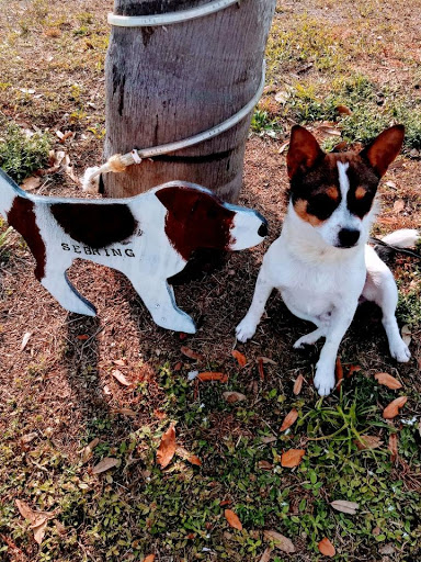 Pet Supply Store «Pet Supermarket», reviews and photos, 800 Sebring Square.., Sebring, FL 33870, USA