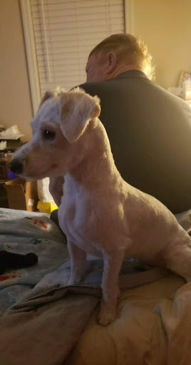 Pet Supply Store «Petco Animal Supplies», reviews and photos, 8213 Hwy 72 W c, Madison, AL 35758, USA