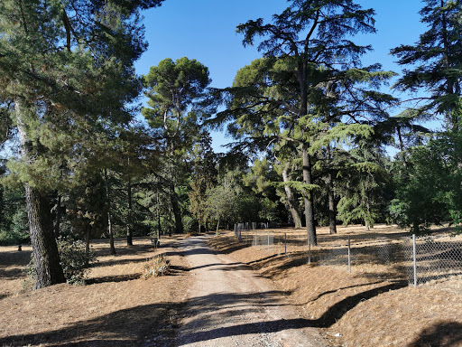 Peñas Albas en Villalbilla