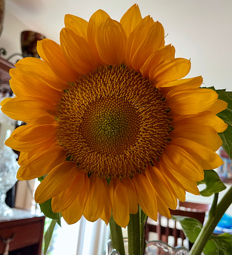 Fruit and Vegetable Store «Henley Farm», reviews and photos, 3513 Charity Neck Rd, Virginia Beach, VA 23456, USA