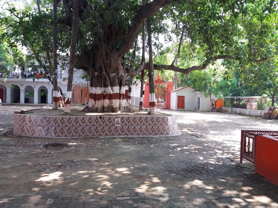 देवाला शिव Beraspur