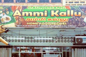 Ammi Kallu - Seksyen 16 image