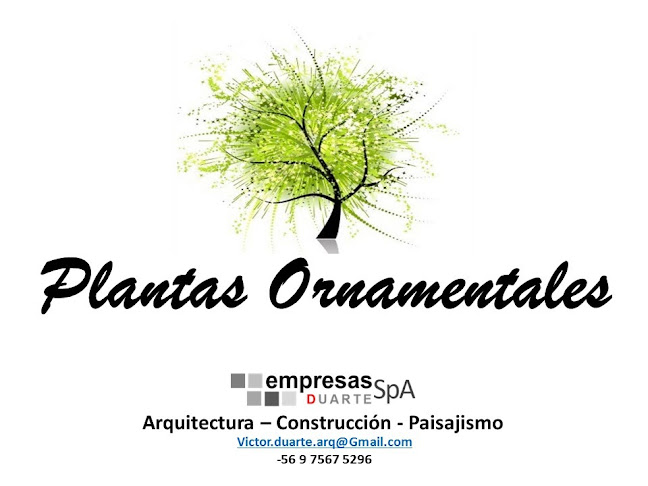 Opiniones de Plantas ornamentales el llano en Rauco - Centro de jardinería