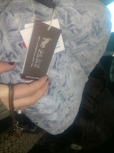 Dog Trainer «Dog Door Behavior Center and Outfitters», reviews and photos, 1 Battle Square A, Asheville, NC 28801, USA