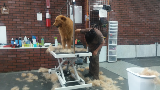 Pet Groomer «Premier Loving Care», reviews and photos, 48 E Washington St, Shelbyville, IN 46176, USA