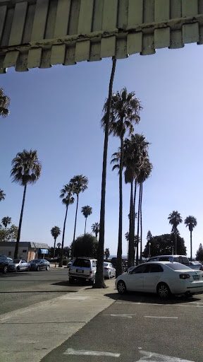 Tattoo Shop «Eventide Tattoo», reviews and photos, 128 Aberdeen Dr, Cardiff, CA 92007, USA