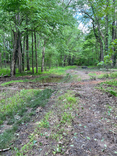 Richland Creek Trail