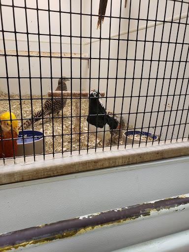 Pet Store «Parrots Of The World Aquarium and Pet Center», reviews and photos, 316 Sunrise Hwy #1, Rockville Centre, NY 11570, USA