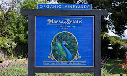 Massa Estate Organic Vineyards