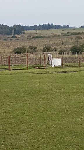 Comunidas Terapeutica Bethania en Canelones