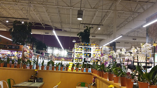 Grocery Store «Whole Foods Market», reviews and photos, 41 Miller St, Winston-Salem, NC 27104, USA