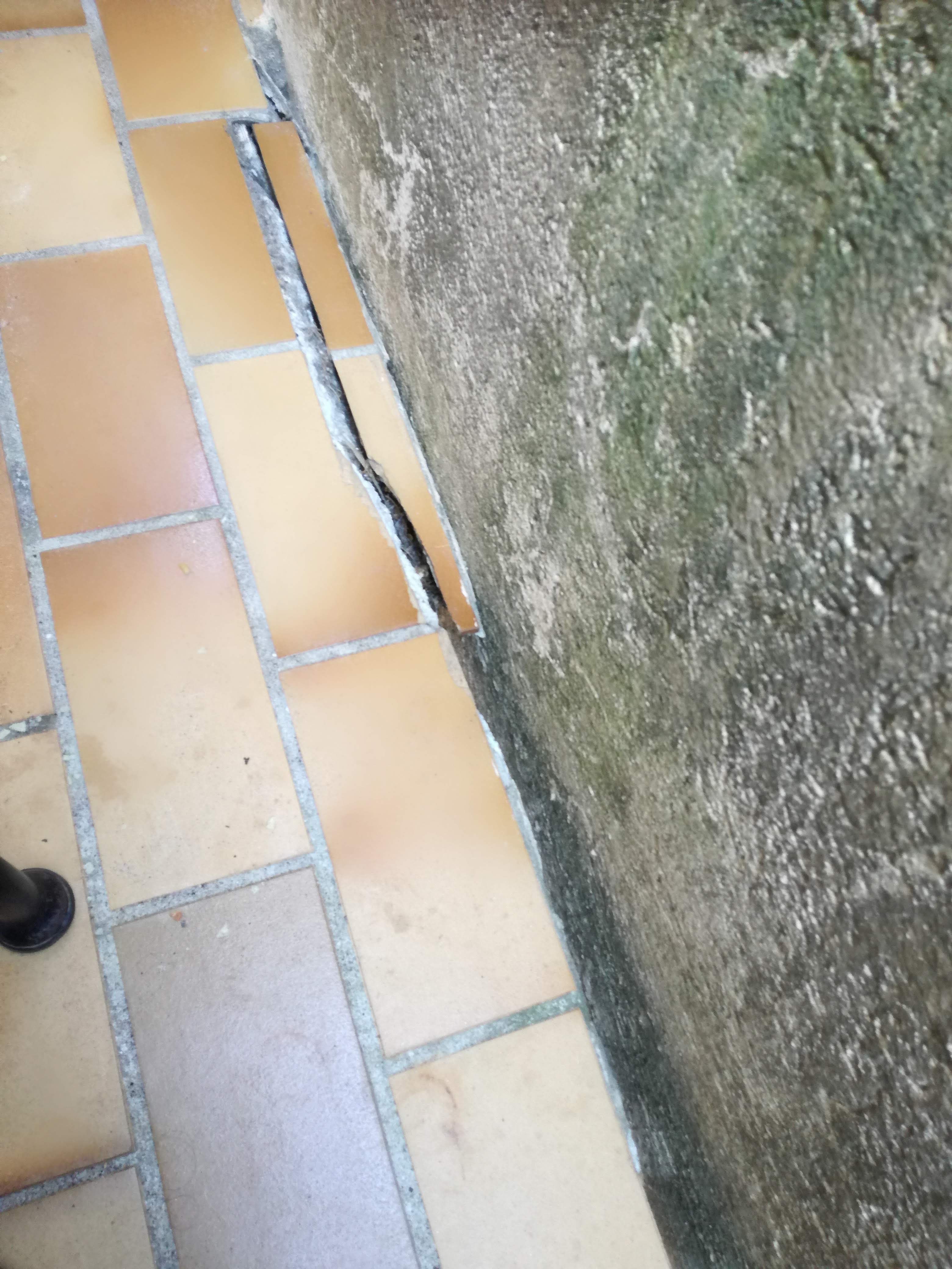 Photo n° 1 de l'avis de Stéphane.e fait le 17/09/2020 à 16:37