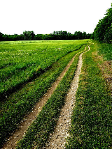 Nature Preserve «Rowlett Creek Preserve», reviews and photos, 2525 Castle Dr, Garland, TX 75040, USA