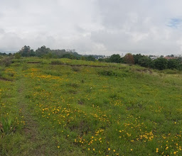 Parque Ecologico Tarango photo