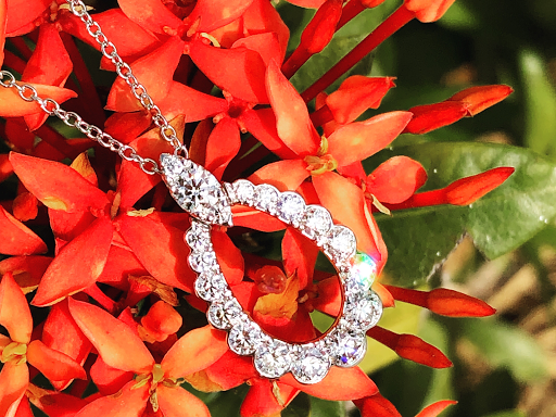 Jeweler «Ackerman Jewelers», reviews and photos, 5335 Ehrlich Rd, Tampa, FL 33625, USA