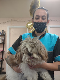 Who's Walking Who Pet Grooming - Photo 8 - Car repair in Sinking Spring, PA, Reading