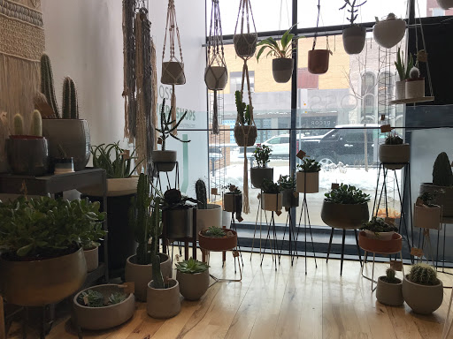 Gift Shop «Moss - Iowa City», reviews and photos, 112 E Washington St, Iowa City, IA 52240, USA